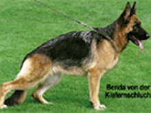 Benda von der Kiefernschlucht
