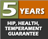 Five Years hip, genetics, health and temperament guarantee