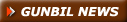 Gunbil German Shepherd News