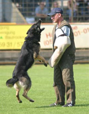 Schutzhund