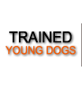 Trained dogs for sale
