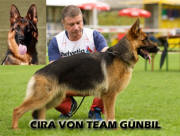 Cira von Team Gunbil