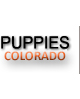 Puppies for sale in Colorado