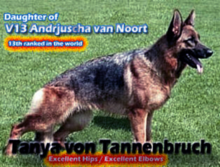 Tanya vom Tannenbruch