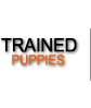 Trained puppies for sale